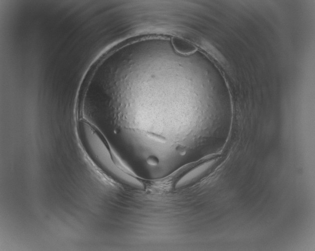 X0000070211028200606021250