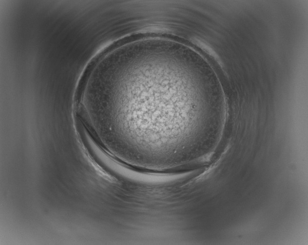 X0000070211029200606021250