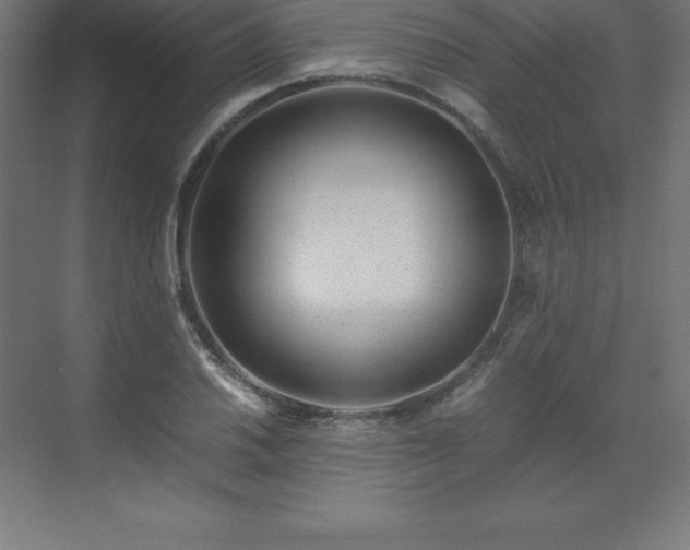 X0000070211030200606021250