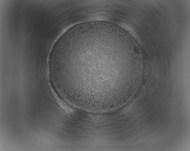 X0000070211031200606021250