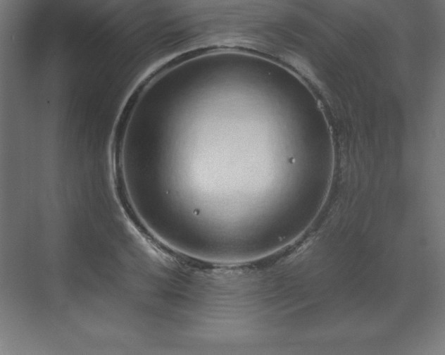 X0000070211032200606021250