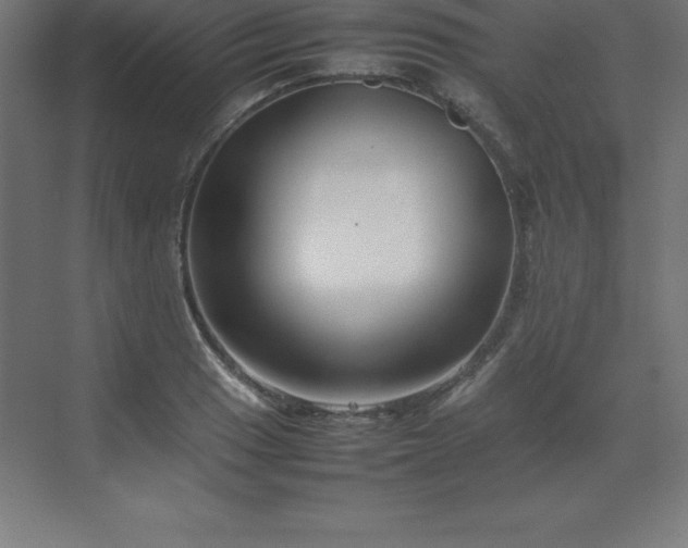 X0000070211033200606021250