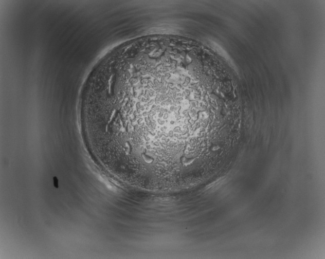 X0000070211035200606021250