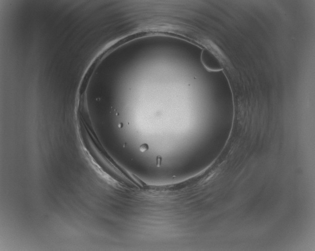 X0000070211036200606021250