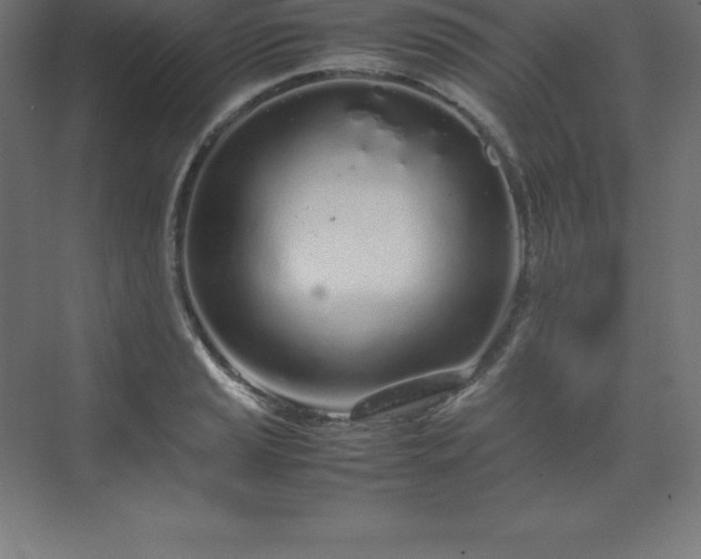 X0000070211037200606021250