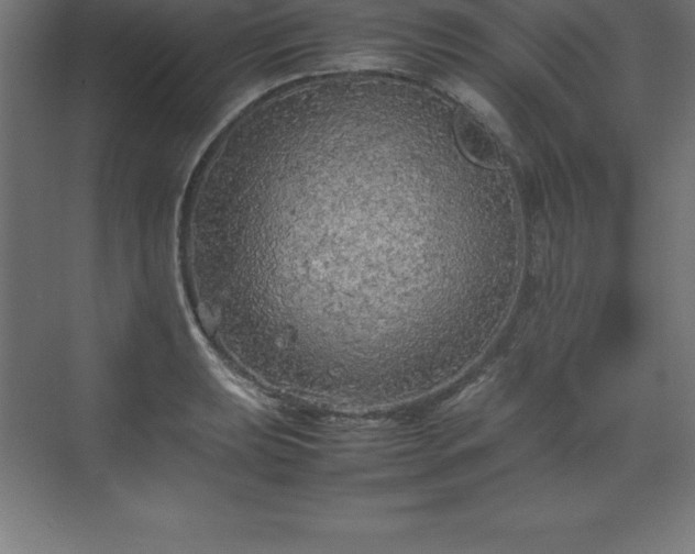 X0000070211039200606021250