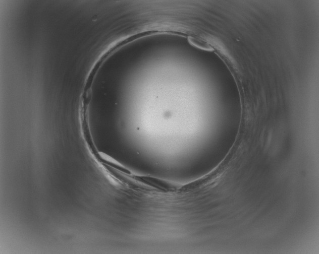 X0000070211040200606021250