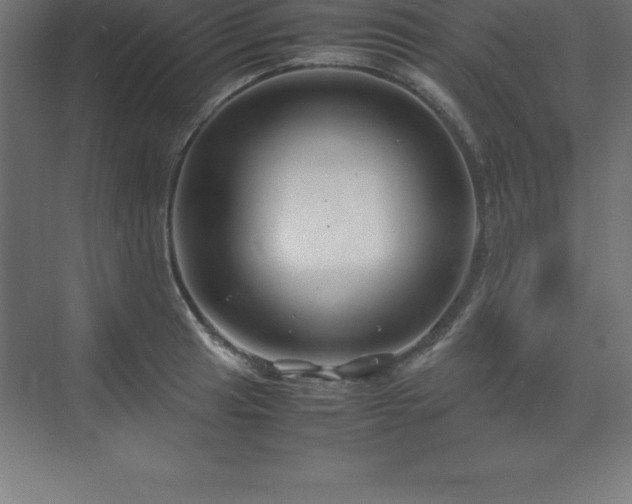 X0000070211041200606021250