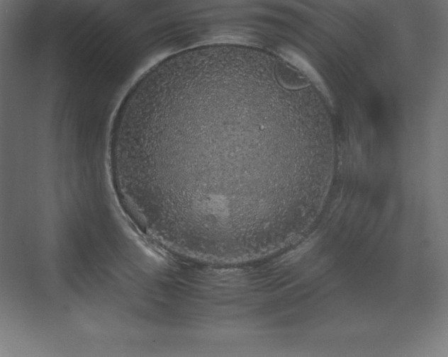 X0000070211043200606021250