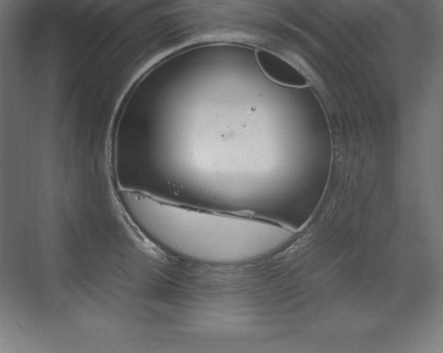 X0000070211044200606021250