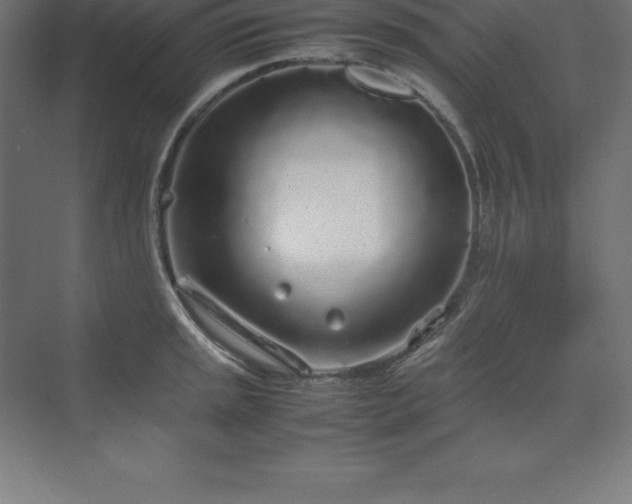 X0000070211045200606021250