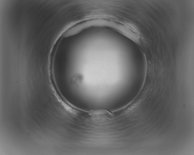 X0000070211046200606021250