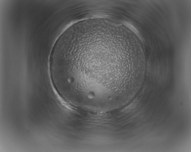 X0000070211047200606021250