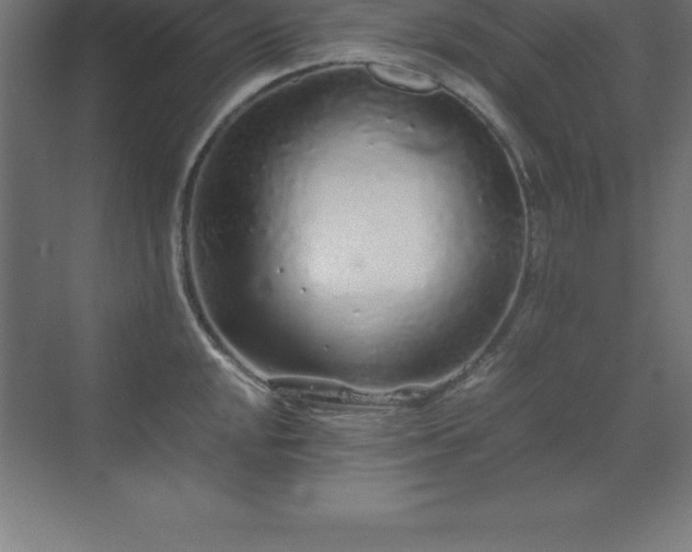 X0000070211048200606021250