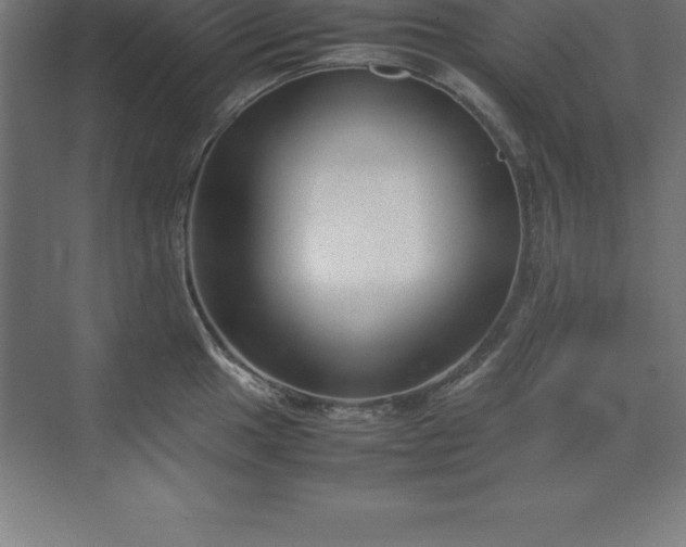 X0000070211049200606021250