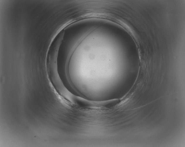 X0000070211050200606021250