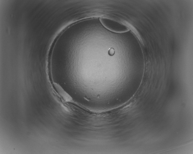 X0000070211051200606021250