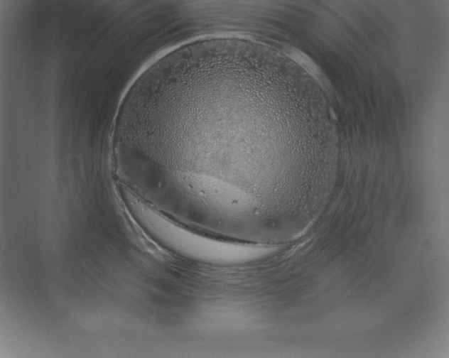 X0000070211052200606021250