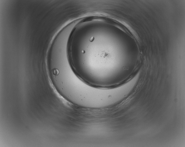 X0000070211054200606021250