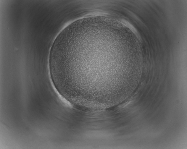 X0000070211055200606021250