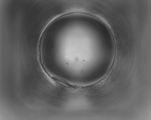 X0000070211056200606021250