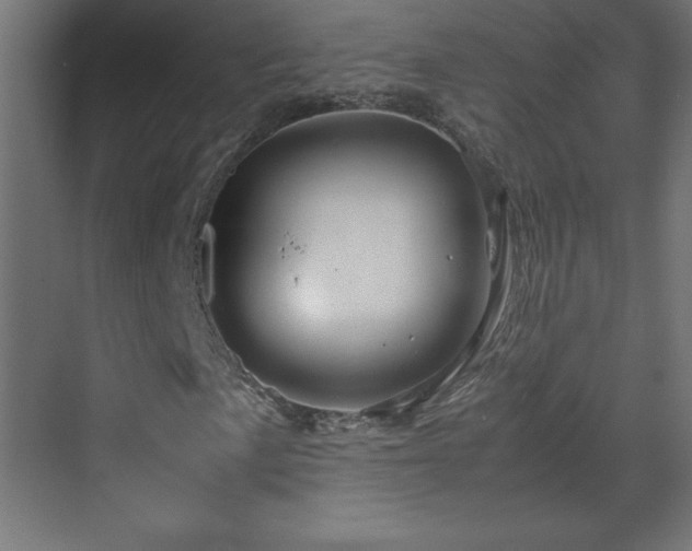 X0000070211057200606021249