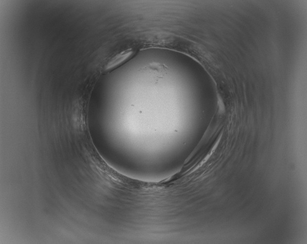 X0000070211058200606021249