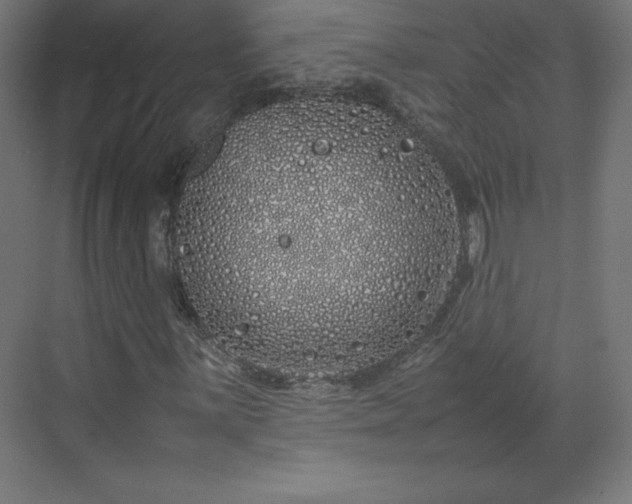 X0000070211059200606021249