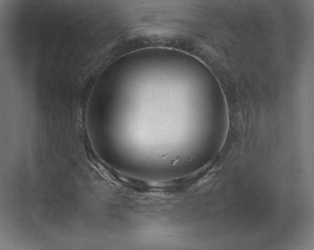 X0000070211061200606021249