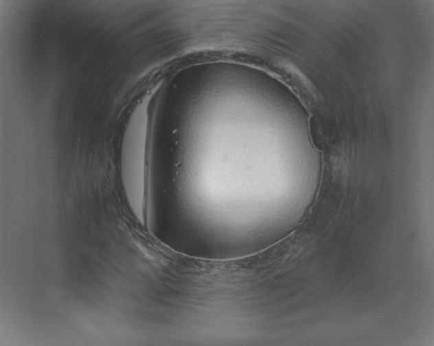 X0000070211064200606021249