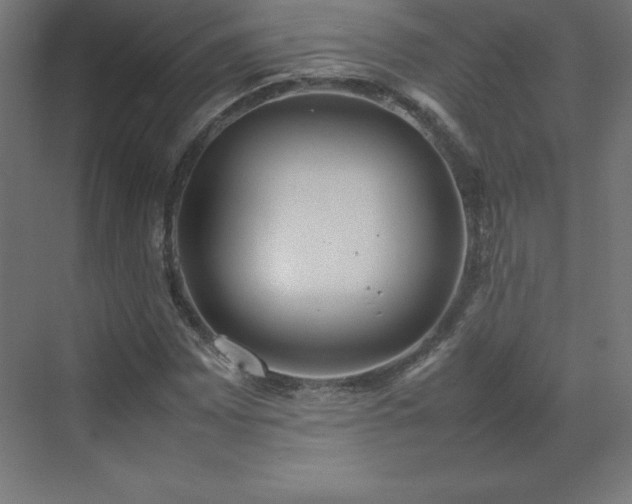 X0000070211065200606021249