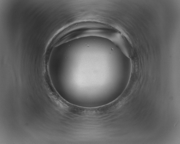 X0000070211069200606021249