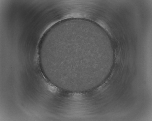 X0000070211070200606021249