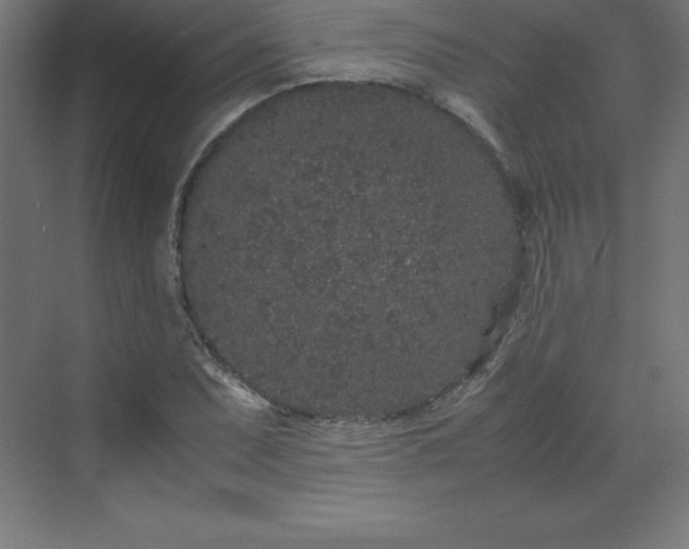 X0000070211071200606021249