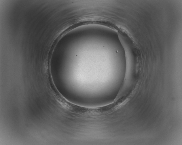 X0000070211073200606021249