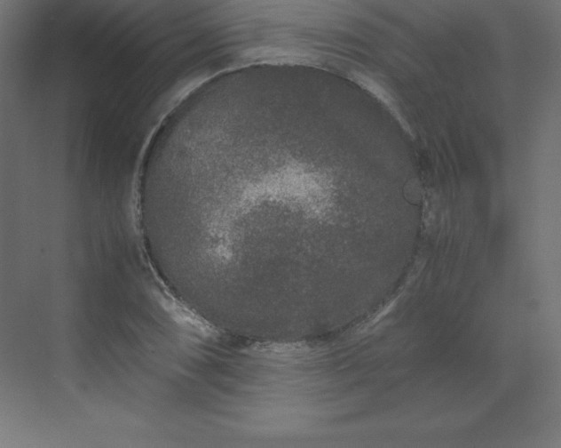 X0000070211074200606021249