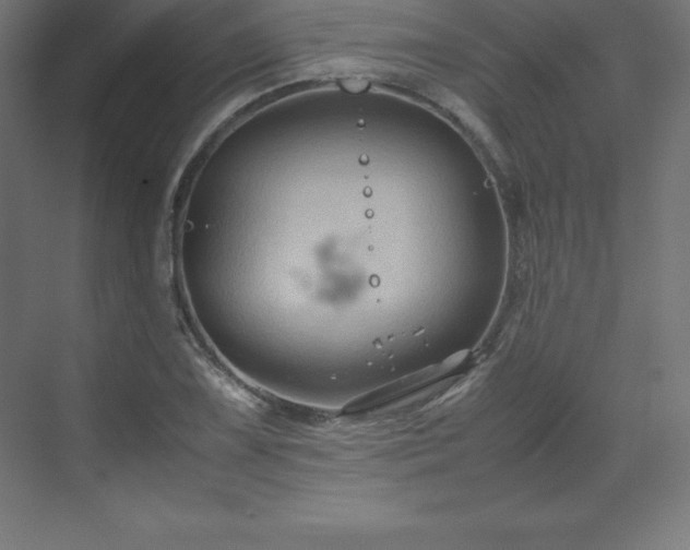 X0000070211075200606021249