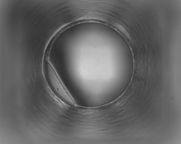 X0000070211076200606021249