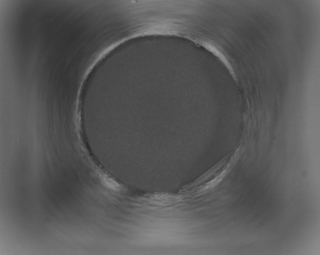 X0000070211077200606021249