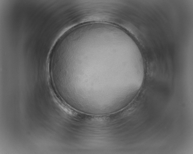 X0000070211078200606021249