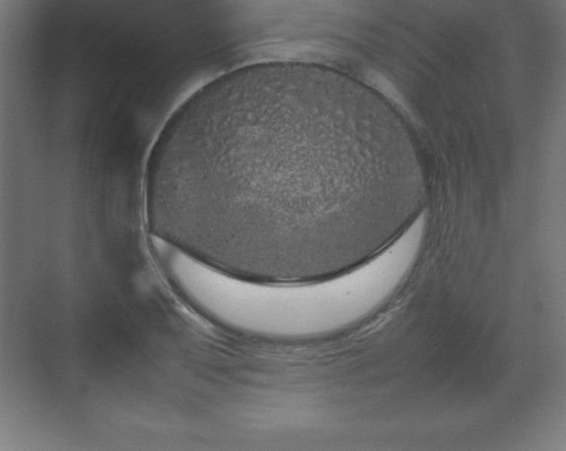 X0000070211079200606021249