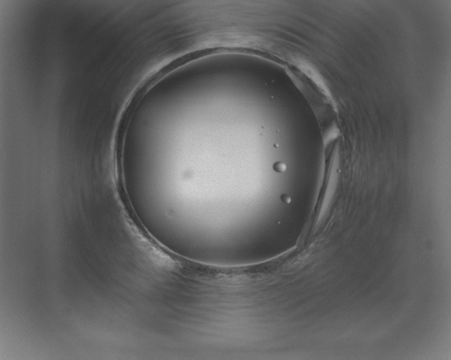 X0000070211080200606021249