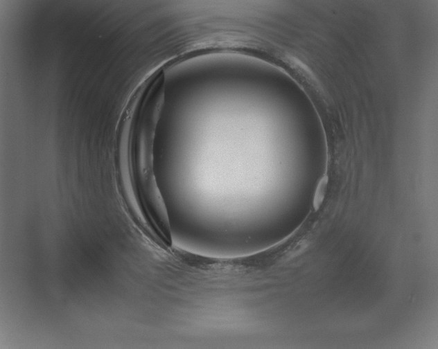 X0000070211081200606021249