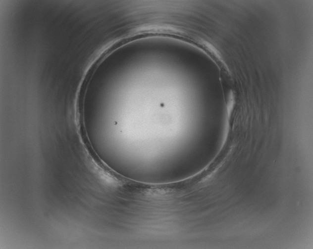 X0000070211082200606021249