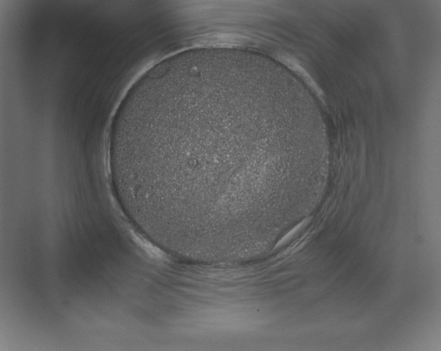 X0000070211083200606021249