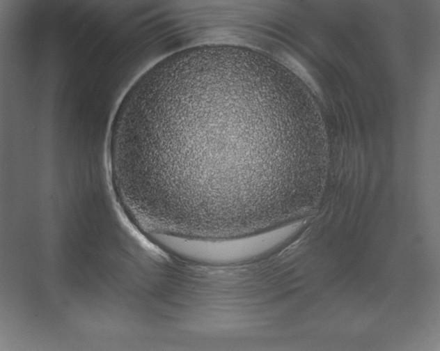 X0000070211084200606021249