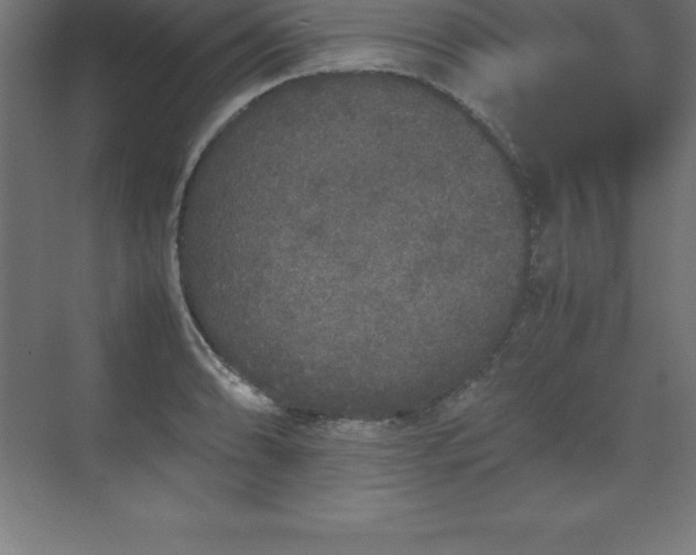 X0000070211086200606021249