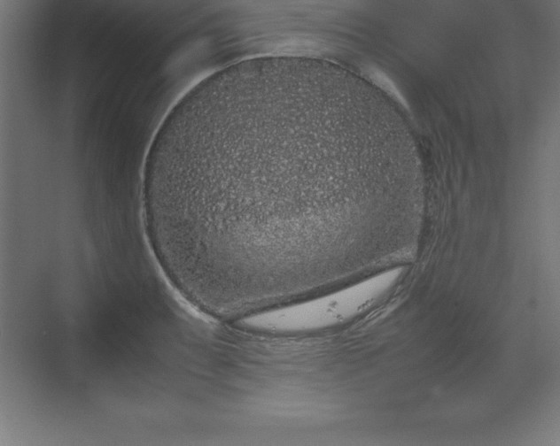 X0000070211087200606021249