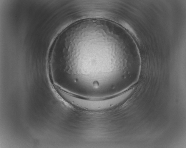 X0000070211088200606021249