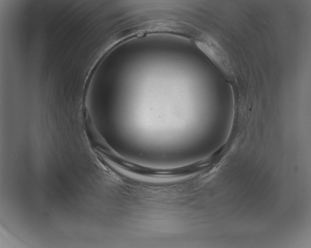 X0000070211089200606021249